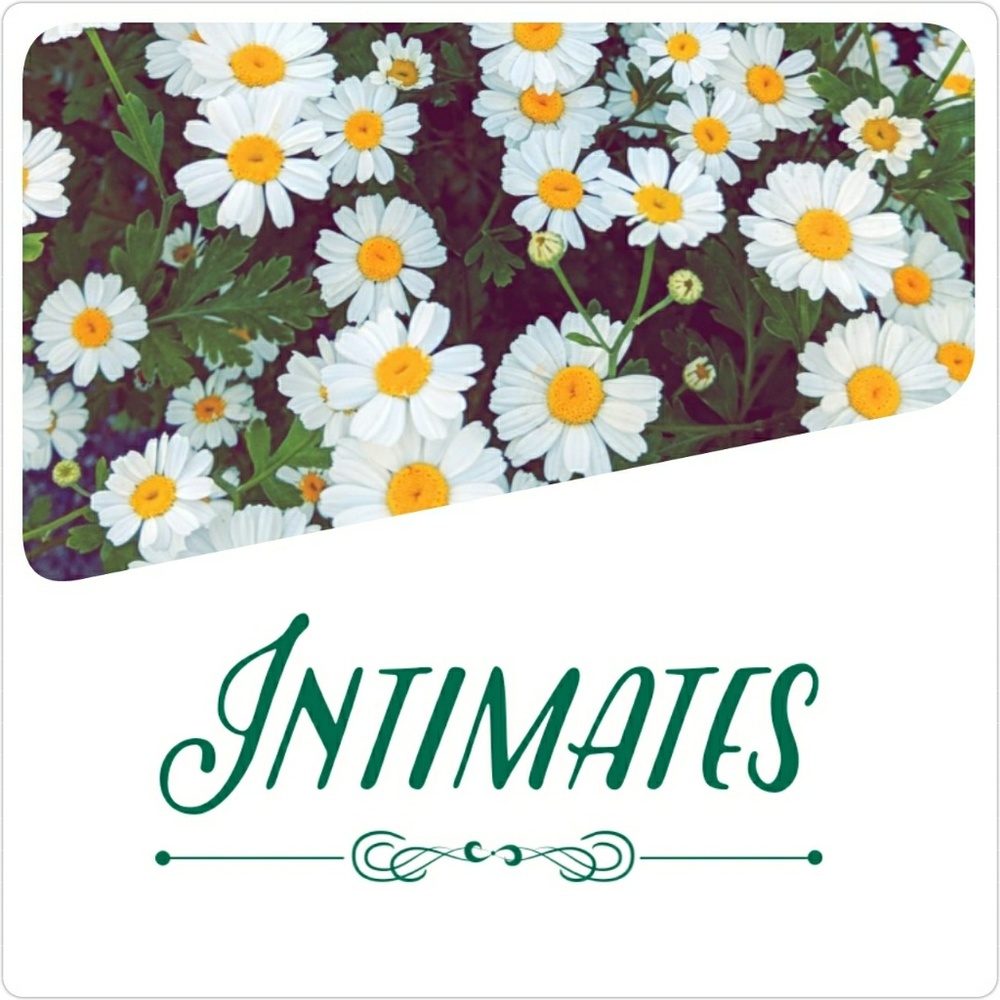 Intimates - image 1